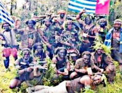 Teror KKB Makin Intensif, Komisi I Minta Evaluasi Pendekatan Keamanan di Papua